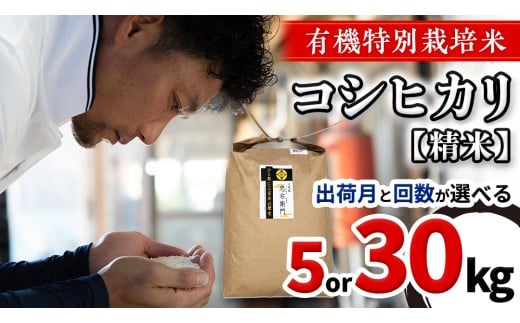 y錧΂݂炢sz_ Iׂz񐔁Eo׎ ^ ߘa7NYEV   5kg or 30kg OSN _  L@ʍ͔| RVqJ L@͔| _n   R ͂   