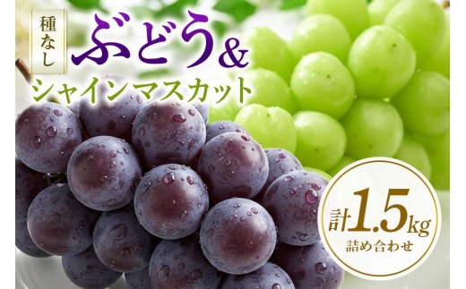 2025年 先行予約 】 シャインマスカット と 種なし ぶどう 1.5kg