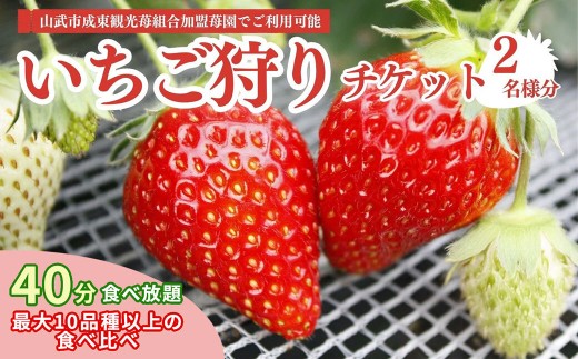 sd1_b055997d27c81c2d9993c57bdb