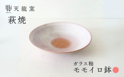 その他 ドイツブリリアント ディスカス6匹