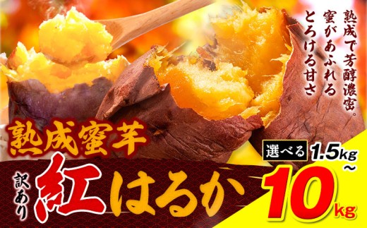 yF{Òz󂠂g͂邩 Tc}C Iׂ 1.5kg 3kg 5kg 10kg s2026N1{-5oח\tg͂邩 ܂ F{ Ò C  ܂ 󂠂
