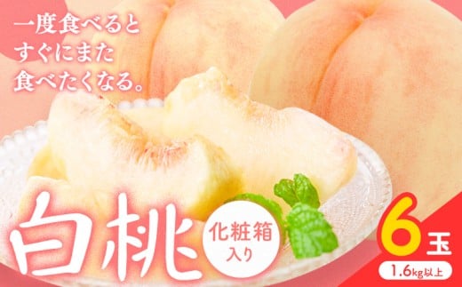 yR}szy2026Ns\z 6(1.6kgȏ) ЎR ({)s2026N7{]8{oׁtR }s   t[c { ʕ Y RY  ① ϔ