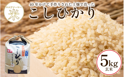 yszЂ 5kg  ߘa7NY   ɂ ͂ ٓ Mtg  v[g  O ۑ h ~   