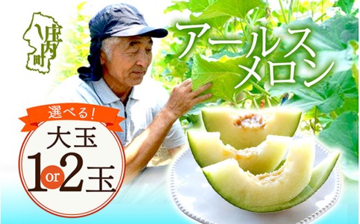 【山形県庄内町】【8月より順次発送】アールスメロン 選べる 大玉 1玉 or 2玉(入金期限:2026.7.20)