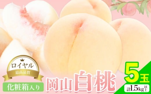 yR}szR 5 (1.5kgȏ) C ϔ ЎR ({)s2026N7{]8{oׁtR }s   t[c { ʕ Y RY 