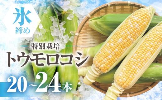 ymcszys\zY@c񂿂̂Ƃ낱@oCJ[ 20{`24{ 8kg Ƃ낱 fU[g _ƒ  ̂ R[  Lv BBQ o[xL[