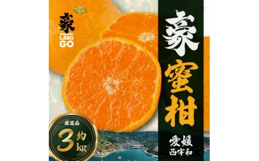 yQlsz @3kg(S`LTCY)C88-2y1660449z