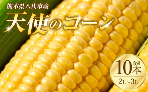 先行予約】 熊本県八代市産「天使のコーン」2L～3Lサイズ 合計10本入り