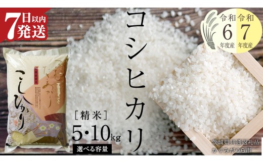 まなみ 無農薬コシヒカリ上白精米20kg(5kg×4)令和6年産　新米♪ saw 無農薬コシヒカリ7分づき20kg(5kg×4)令和3年徳島