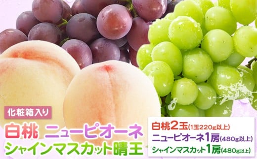 yR}sz Ԃǂ l R 2(1220gȏ) j[sI[l1[(1[480gȏ) VC}XJbg  1[(1[480gȏ) ϔ ЎRs2026N7{-8{oׁt