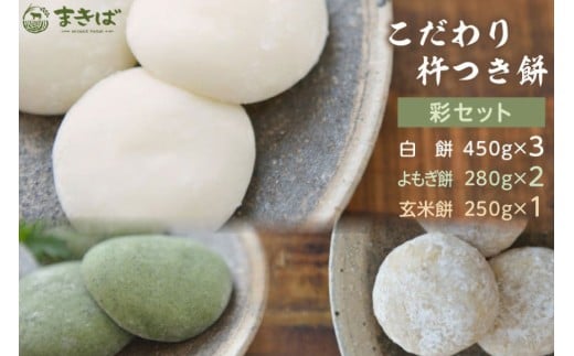 y}szn ʃZbg [Oq ܂  }s 21761384]   `