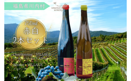 yzyӂ邳Ɣ[Łzy키Ci[zyԔCQ{ZbgzC B[W Vhl 2024 i750mlj 1{AԃC B[W [ 2023i750mlj1{