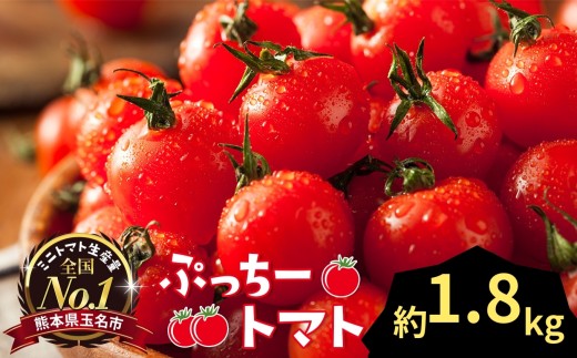 yF{ʖszՂ[g}g ~jg}g 1.8kg |  ₳ ~jg}g ~j Ƃ܂ g}g 1.8kg Rs F{ ʖs