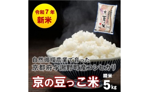 ys{^Ӗ쒬zʌ!ߘa7NYV Rz_Ƃňs^Ӗ쒬YRVqJu̓āv@5kgy1615925z