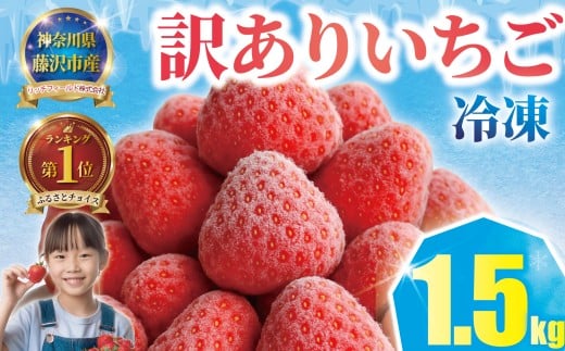 y_ސ쌧szⓀ 1.5kg s\ ւς   C`S Xgx[ 󂠂 L A i ܂ 召 s ʕ  Ⓚ t[c Â fU[g X
