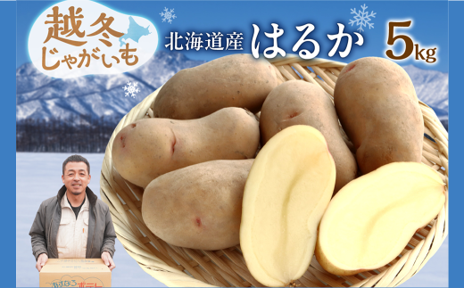 【北海道清水町】ホクホク あま〜い! 低温貯蔵!北海道産 越冬じゃがいも はるか 約5kg じゃがいも いも 芋 はるか 産地直送 越冬 5kg_S041-0009