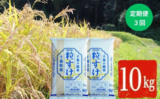 セール　粒すけ　白米　10kg 米 セール 千葉県産 粒すけ つぶすけ 10kg（5kg×2袋） 白米 令和7年産