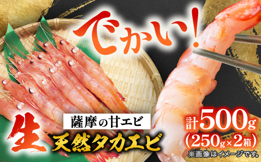 薩摩の甘エビ＞大きいサイズ 天然タカエビ500g A1-10_甘エビ 海老 あま