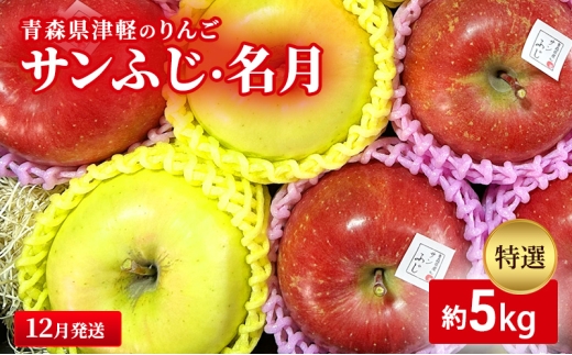 12月発送】【里いちみfarm】青森県津軽のりんご 特選「サンふじ・名月