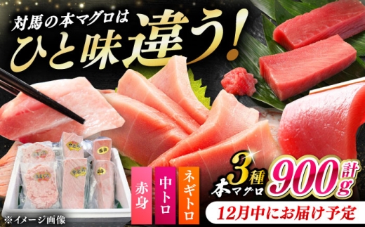 y茧Δnszy12ɂ͂zΔnY {}O 3 v900giԐg/g/lMgjsΔnstyΊCz [WAH029-12]