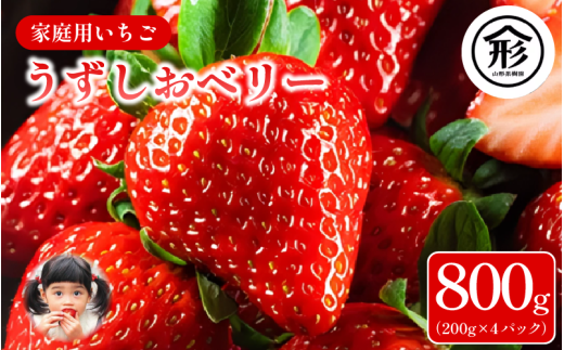 yz  4pbN 800g 2026N1`4܂Ŕ x[ ʕ t[c fU[g { VN G ~ lC P[L  Mtg v[g  ƒp s\ 