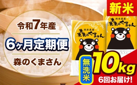 yF{ʓzV ߘa7NY X̂܂ y6ցz  s\ݗoׁt 10kg (5kg×2) v6񂨓͂ F{Y Pꌴ X F{ ʓ