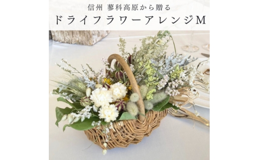 y쌧szMBx̘[瑡hCt[AWgM(CG[)y1662053z