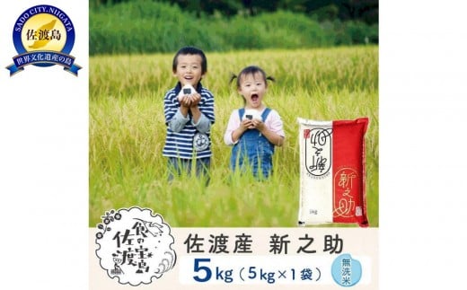 yVnszyVė\znY VV 5kg×1