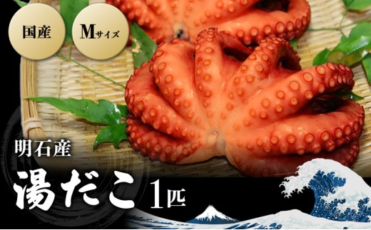 yɌΎszΎY  1C MTCY[ ΂ {C  ]