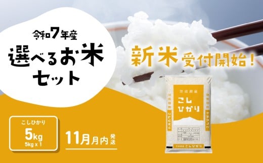 y錧㒬zy11zRVqJ 5kg ߘa7NY 錧Y Ђ   錧   [SF315yai]