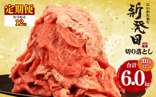 yVVcszyցz ؂藎Ƃ 500g×12 v6kg Vc јa ~ a uh Y Ԃ Ԑ؂   Ε V Vc V Vcs ߍ] _