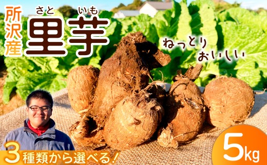 里芋 5kg 選べる大きさ | さといも サトイモ 芋 いも イモ 根菜 野菜