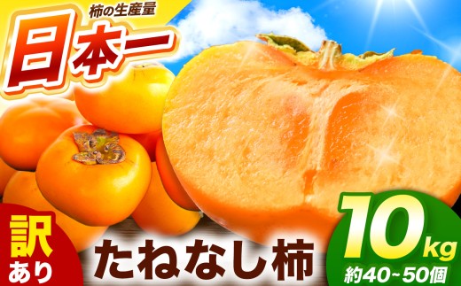 訳あり たねなし柿 約10kg （ 40～50個 ) 大人気 | 種無し たねなし 柿