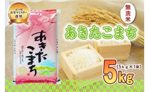 あきたこまち 無洗米 5kg 令和7年産 盛岡市産 岩手 米 お米 白米