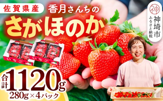 令和8年1月より発送開始】香月さんちのいちご(さがほのか)280g×4パック