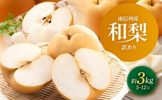 y쌧ѓcszMBY 󂠂 a 3kg y2026Ns\z | ʕ t[c ʎ a  K L 쐅 Â 󂠂 킯 쌧 ѓcs MB