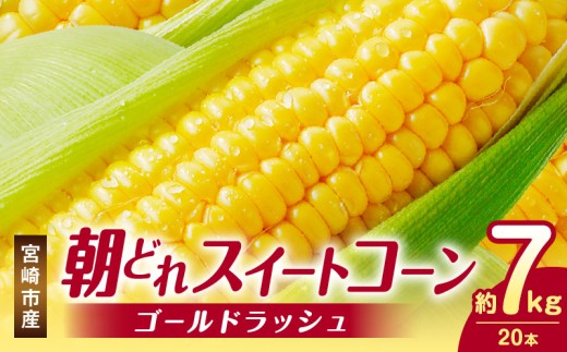 y{茧{szs2026Ns\tyʁEԌz{sYǂXC[gR[iS[hbVj7kg_M320-001_01