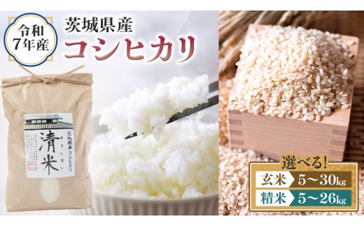 y錧΂݂炢sz_ Iׂe ^ ߘa7NY 錧Y RVqJ i 5kgE10kgE27kg /  5kgE10kgE30kgj   LV}C Ђ  R  P  錧