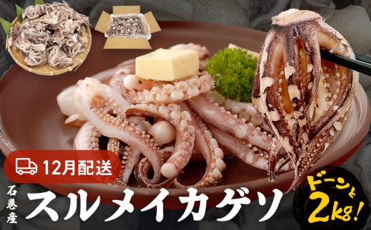 y{錧Ίsz q 󂠂 r12z {錧Y XCJ Q\ 2kg Ⓚ Y   CJ CJQ\ Jpb` ܂  ăCJ CJ  o[xL[ BBQ 킯 s