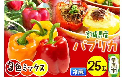 y{錧IszyVNESES@{錧YpvJz3FMIXiԉj25ʋl