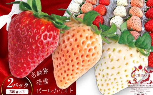 sd1_7edef9f29ac4eb8985d3dc807e