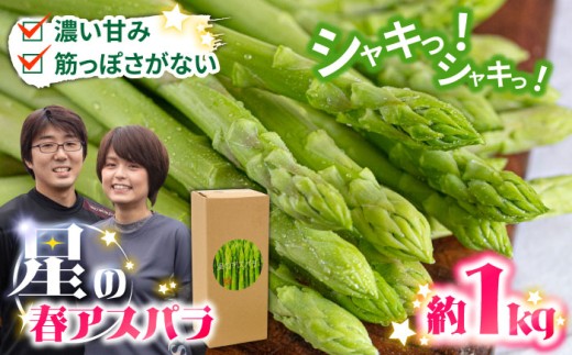 y茧쓇szy2026N3`zyʌzÂI_炩IỹAXpzI O[ AXpKX 1kg / AXp ς AXp ς I ς炪 AXp