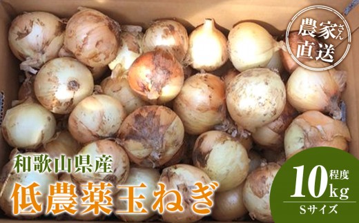 ya̎RxRzm2026NEs\n_Ƃ񒼑 _ʂ˂ STCY 10kgxm4{`7{\nmKF18n