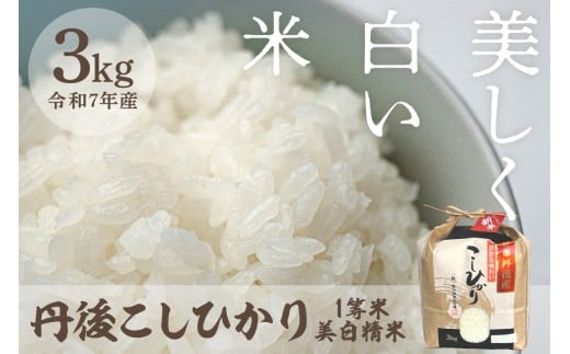 【京都府京丹後市】1月発送:令和7年産 美白精米 丹後こしひかり 3kg 1等米 MU00053_01