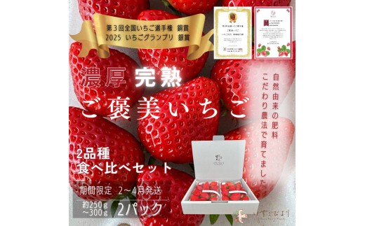 完熟いちご食べ比べセット品種おまかせ 滋賀県愛荘町産 2026年2月