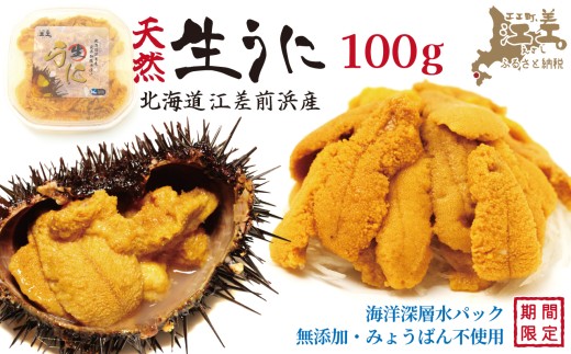 2026年先行予約／北海道 江差前浜産 生うに 100g【天然・無添加