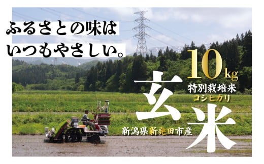 yVVcszߘa7NY  ʍ͔| RVqJ 10kg _ ͕ VY V VcY V V Vcs O[t@[ kuramitsu002