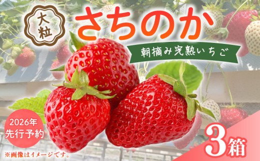 ytszy 2026N s\ z  嗱 9`18 × 3 2026 N 2 3  ̂ Y C`S  Xgx[  At^[ۏ VN n E { Â ① I t[c ʕ 