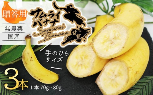 高知県産 侍バナナ｜無農薬 国産 農家直送 手のひらサイズ 3本 贈答用