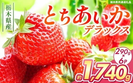 yȖ،szys\zƂfbNX 1740g (290g×6) yȖ،ʕԗiz|  Ƃ 嗱 VN Â    XC[c W[V[ ʕ ʕԗi t